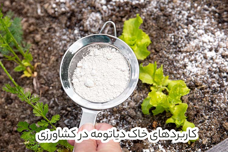 کاربردهای خاک دیاتومه در کشاورزی