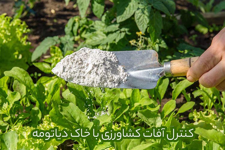 مقابله با شپش